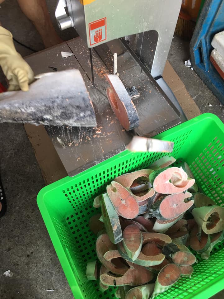 bán máy cắt cá thu, cắt cá hồi đông lạnh